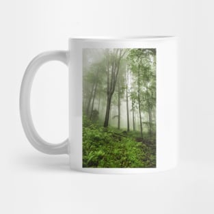 Beech forest Mug